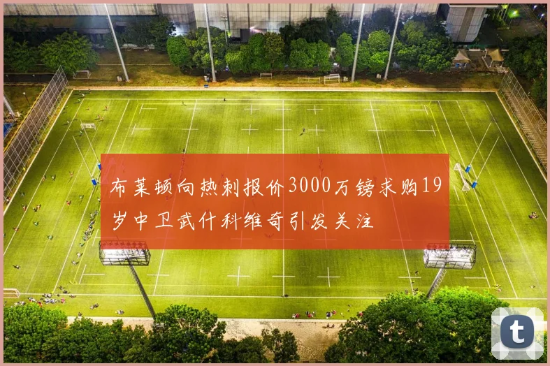 布莱顿向热刺报价3000万镑求购19岁中卫武什科维奇引发关注